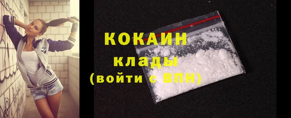 дживик Нея
