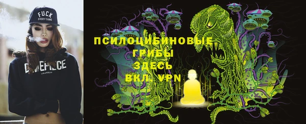 MESCALINE Новодвинск